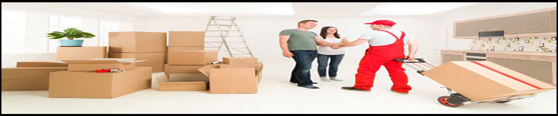 Packers And Movers Noida Sector 156